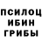 Галлюциногенные грибы GOLDEN TEACHER Mahdiya Mahdiya