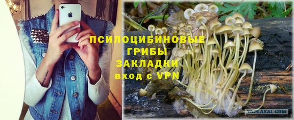 крисы Приозерск