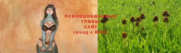 гашишное масло Пролетарск